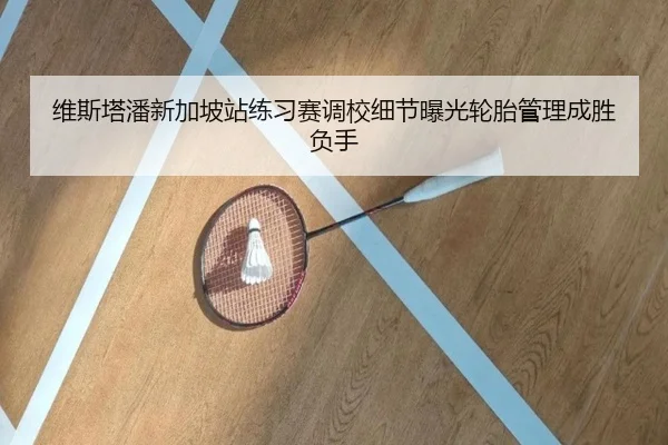 维斯塔潘新加坡站练习赛调校细节曝光轮胎管理成胜负手